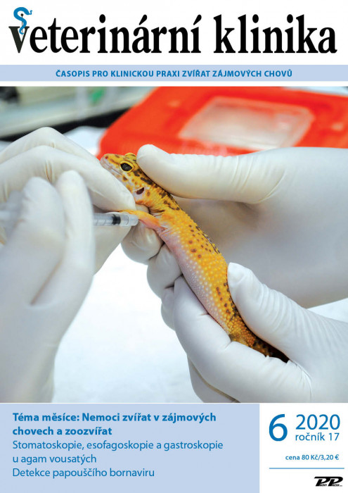 Obálka titulu Veterinární klinika - vydanie č. 6/2020