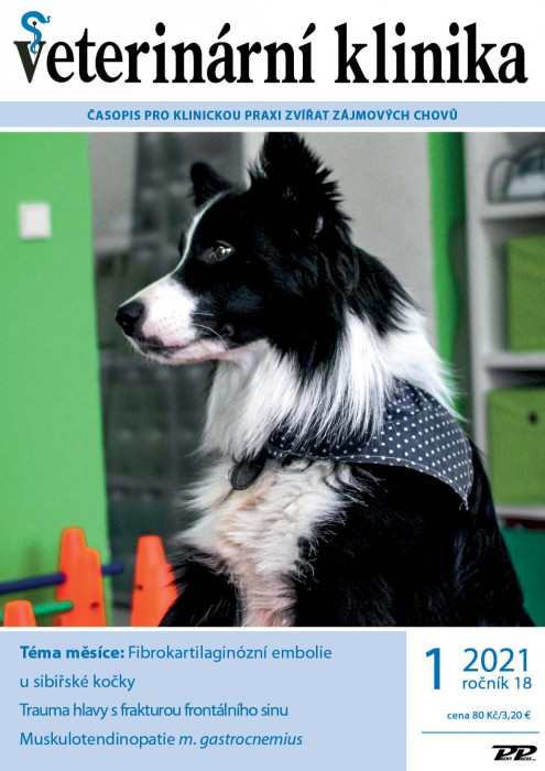 Obálka titulu Veterinární klinika - vydanie č. 1/2021