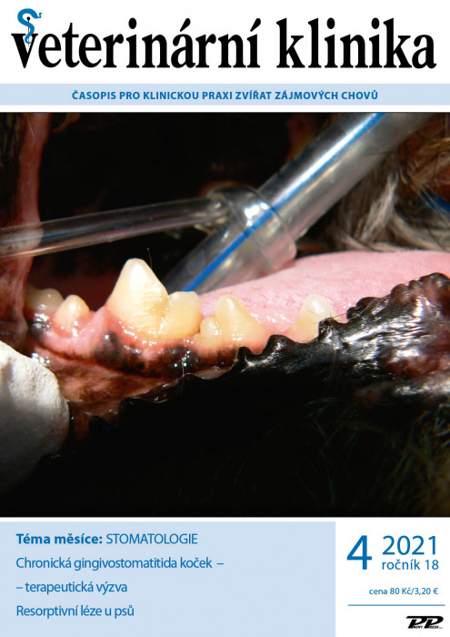 Obálka titulu Veterinární klinika - vydanie č. 4/2021