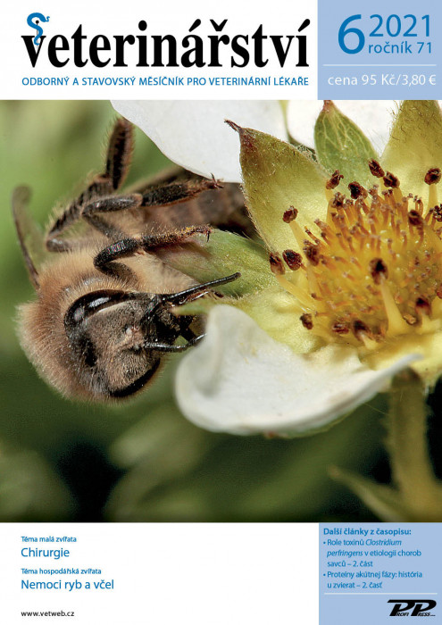 Obálka titulu Veterinářství - vydanie č. 6/2021