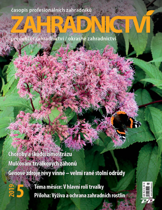 Obálka titulu Zahradnictví/Vinař - Sadař - vydanie č. 5/2019