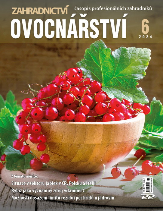 Obálka titulu Zahradnictví/Vinař - Sadař - vydanie č. 6/2024